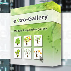 Responsive eXtro jQuery Gallery 