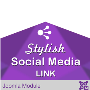 Stylish Social Media Link 
