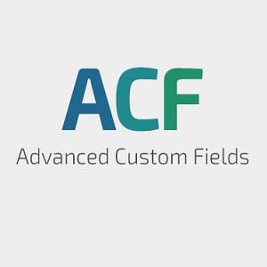 Advanced Custom Fields-0