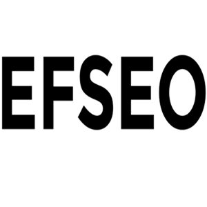 efseo-easy-frontend-seo-8