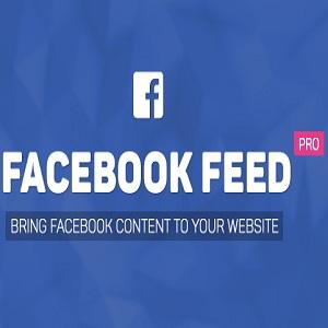 facebook-feed-3