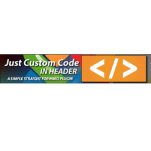 just-custom-code-in-header